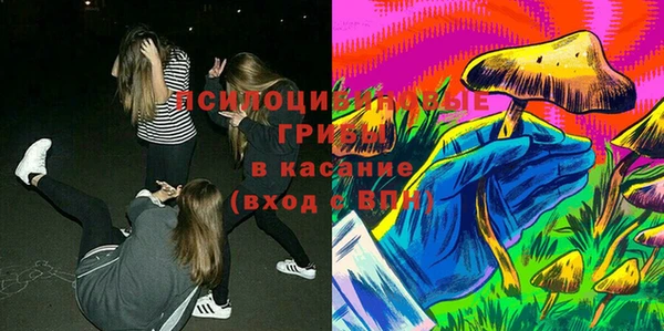 мескалин Новодвинск