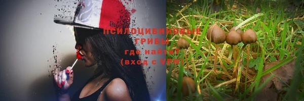 экстази Новокубанск