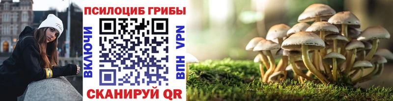 Купить где  Шлиссельбург  Псилоцибиновые грибы мухоморы 